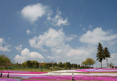 201104250951-DSC00062.jpg