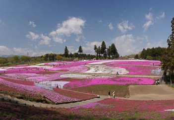 201104251004-DSC00090.jpg