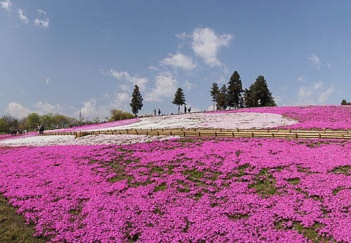 201104251006-DSC00093.jpg