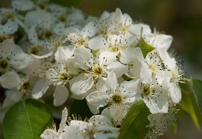 201104251043-DSC00157.jpg