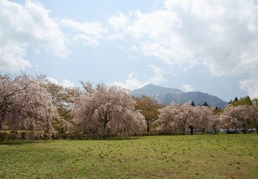 201104251051-DSC00166.jpg