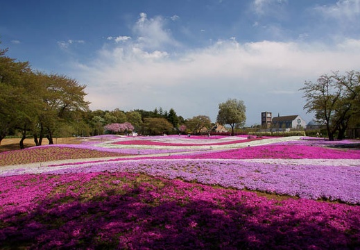 201104251301-DSC00181.jpg