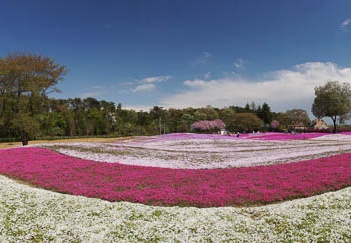 201104251313-DSC00202.jpg