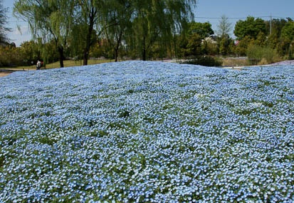 201104251335-DSC00247.jpg