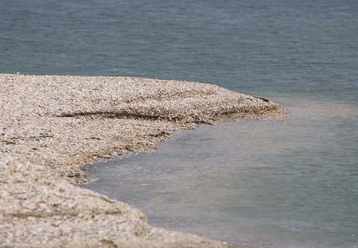 201104271048-DSC01337.jpg