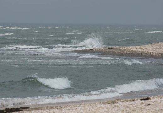 201104271107-DSC01572.jpg