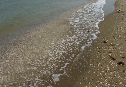 201104271119-DSC01595.jpg