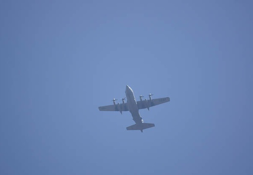 201104281158-DSC01811.jpg