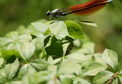 201104281201-DSC01825.jpg