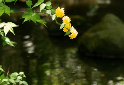 201104281207-DSC01847.jpg