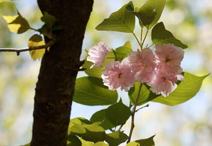 201104281217-DSC01875.jpg