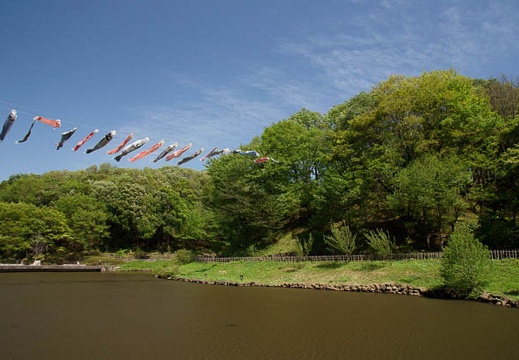 201104281317-DSC01947.jpg