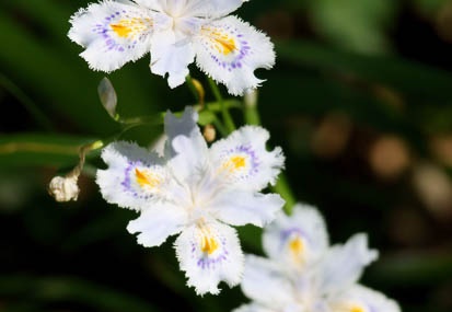201104281407-DSC01988.jpg
