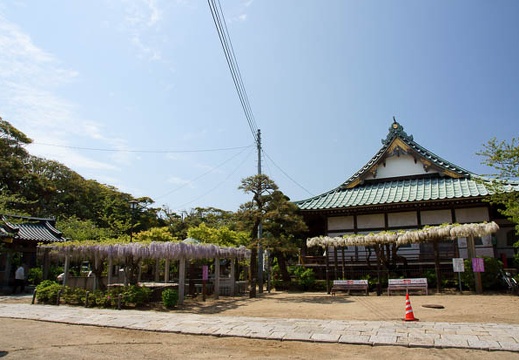 201104290945-DSC02238.jpg