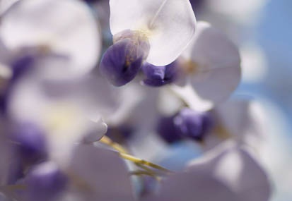 201104291024-DSC02365.jpg