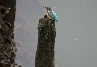 201105030952-DSC03031.jpg