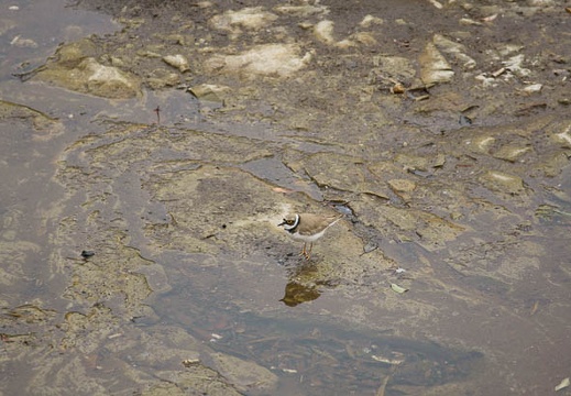 201105031125-DSC03157.jpg