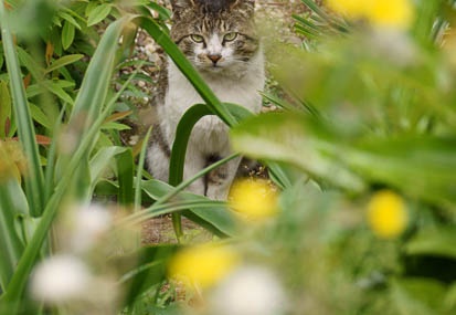 201105031136-DSC03198.jpg