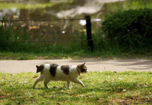 201105040852-DSC03283.jpg