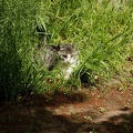 201105040945-DSC03323.jpg