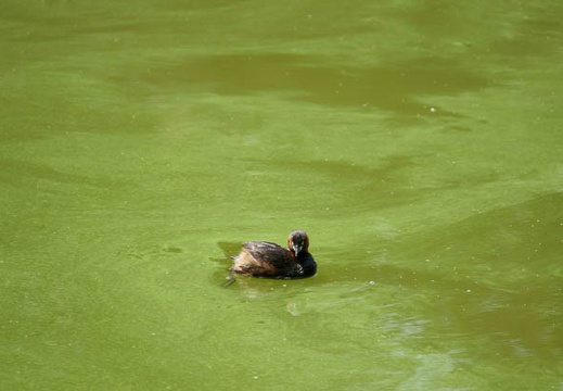 201105041003-DSC03367.jpg