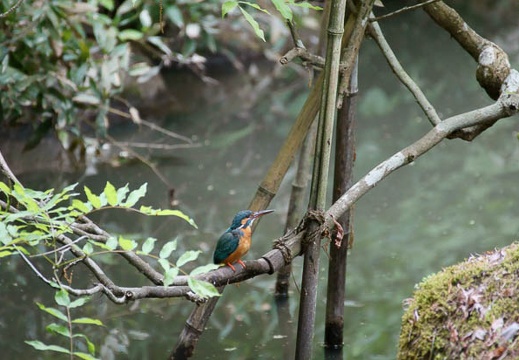 201105061035-DSC03767.jpg