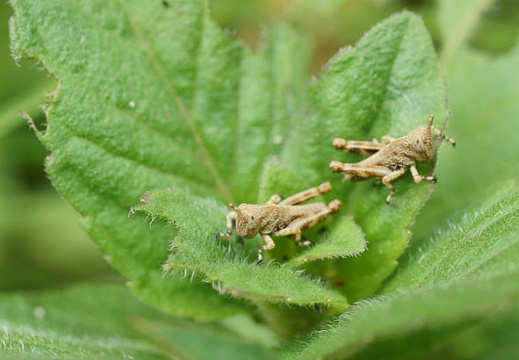 201105061057-DSC03825.jpg