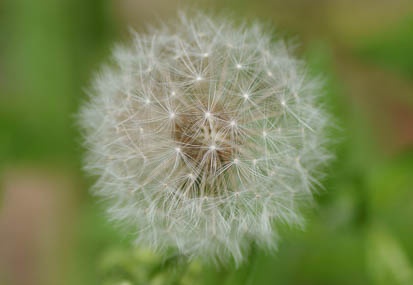 201105061131-DSC03895.jpg
