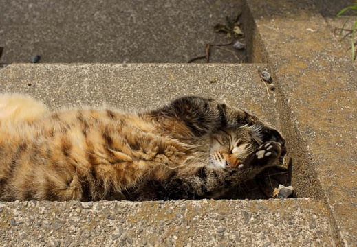 201105061359-DSC04014.jpg
