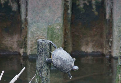 201105061448-DSC04133.jpg