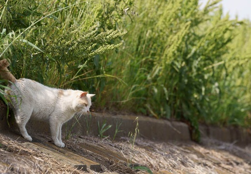 201105141346-DSC04245.jpg