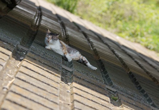 201105141352-DSC04269.jpg