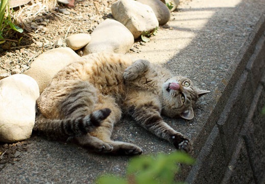 201105141424-DSC04313.jpg