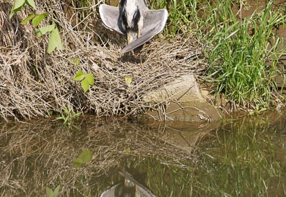 201105141454-DSC04418.jpg