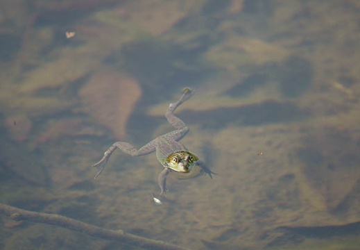 201105160605-DSC04633.jpg