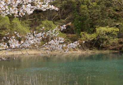 201105161409-DSC05141.jpg
