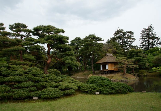 201105161559-DSC05142.jpg