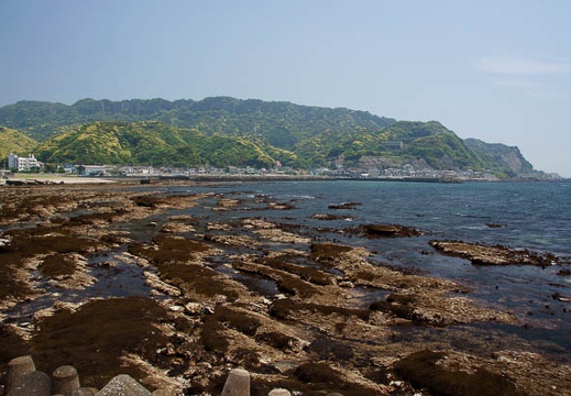 201105191221-DSC05387.jpg