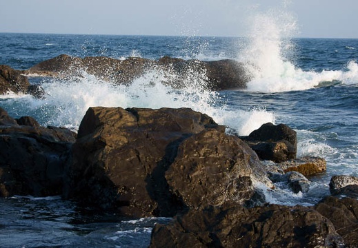 201105191725-DSC05922.jpg