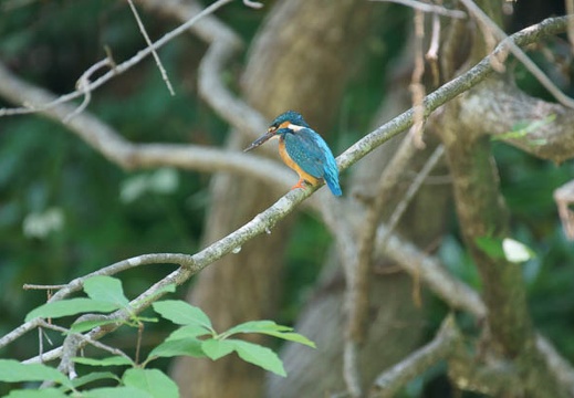 201105201255-DSC06064.jpg