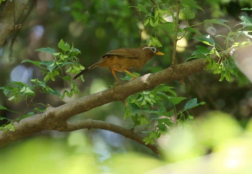 201105201319-DSC06101.jpg