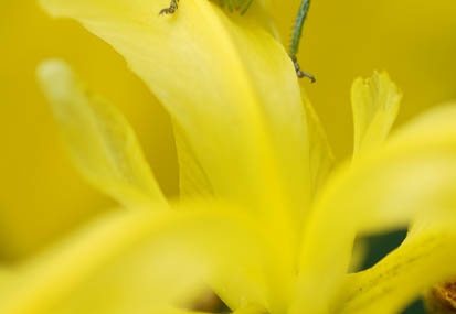 201105201337-DSC06132.jpg
