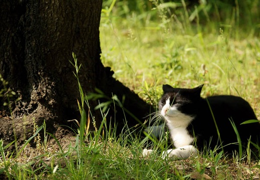 201105201523-DSC06292.jpg