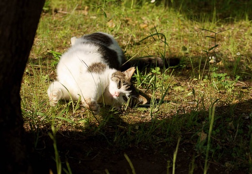 201105201527-DSC06328.jpg