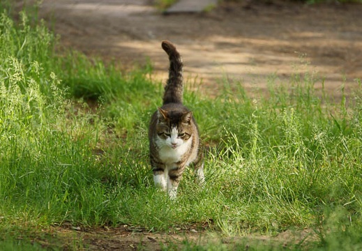 201105201532-DSC06349.jpg