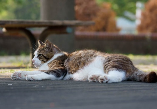 201105201558-DSC06394.jpg