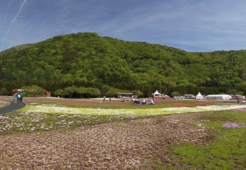 201105250903-DSC06467.jpg