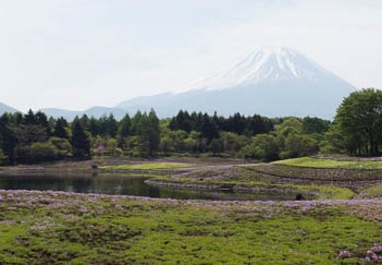 201105250910-DSC06479.jpg