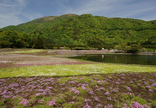 201105250929-DSC06512.jpg