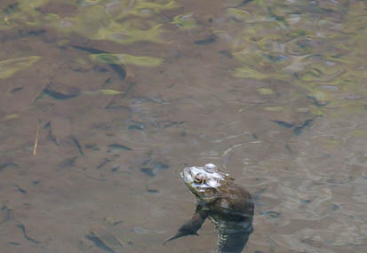 201105251057-DSC06637.jpg